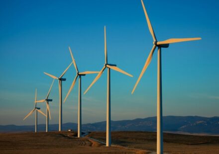 TotalEnergies Eyes $100M+ Stake Sales in European Solar and Wind Portfolio