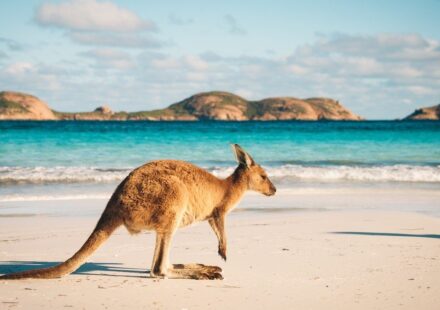 Australian State Launches First Gas Tender in Years