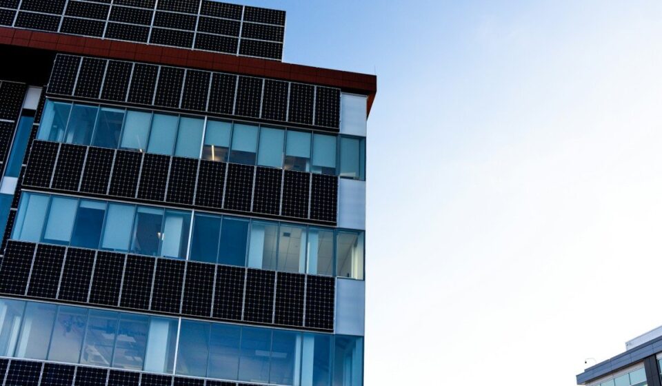 China's Cleantech Machine Hits Top Gear as Oil Markets Crumble