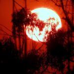 Heatwave Boosts India’s Power Demand to Record High