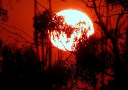 Heatwave Boosts India’s Power Demand to Record High