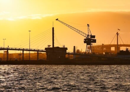 Australia Cuts Fuel Tax in Half as Middle East War Squeezes Supply