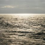 Russia's Vital Baltic Oil Hubs Crippled by Ukrainian Drone Campaign