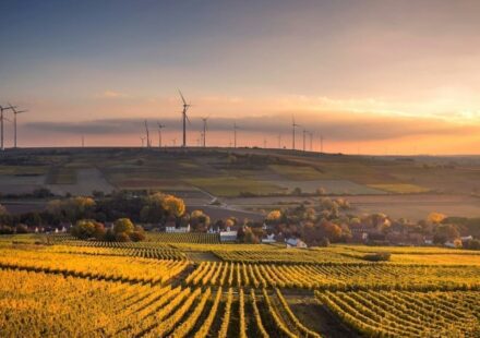 Barclays Warns Grid Constraints Could Strand Renewables Assets