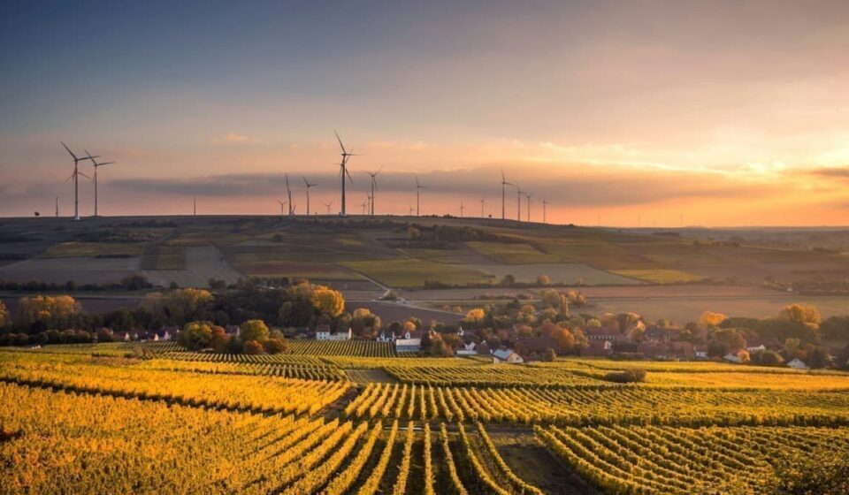 Barclays Warns Grid Constraints Could Strand Renewables Assets