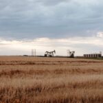 U.S. Crude Daily Average Production Falls in December as Bakken Leads Pullback