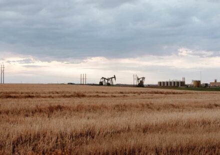 U.S. Crude Daily Average Production Falls in December as Bakken Leads Pullback
