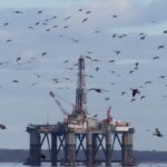 Black Sea Bottleneck Stalls Tengiz Oil Comeback