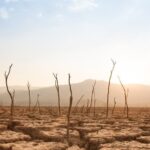 The EU Must Spend More to Counter Climate Change