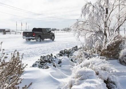 U.S. Natural Gas Prices Hit $6 For First Time Since 2022 amid Big Freeze