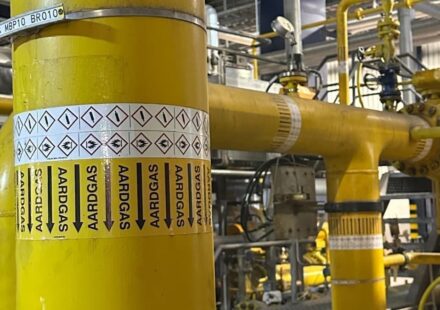 U.S. Natural Gas Prices Rebound Amid Robust LNG Flows