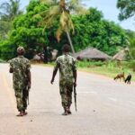 Exxon Revives Mozambique LNG After Four Years in Limbo