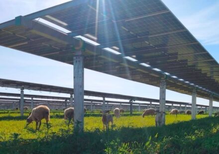 Saudi Arabia Awards Five Renewables Projects Worth $2.4 Billion