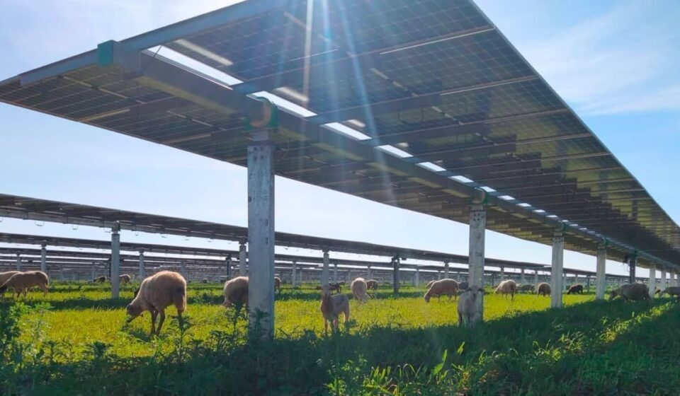 Saudi Arabia Awards Five Renewables Projects Worth $2.4 Billion