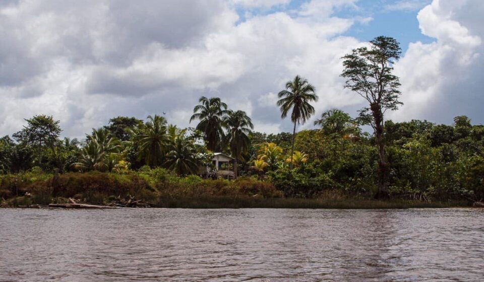 Guyana Gains French Support Amid U.S. Pressure on Venezuela