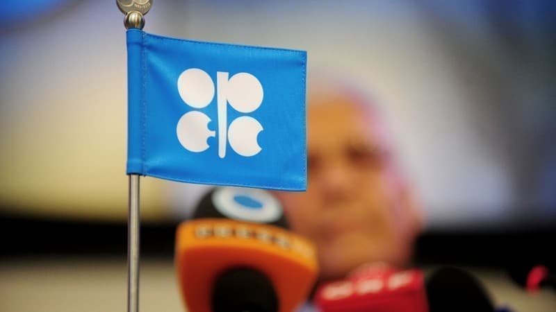 OPEC Rejects Media Reports of Major Output Hike Ahead of G8 Meet