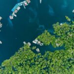 Petrobras Clears Key Hurdle for Amazon Drilling