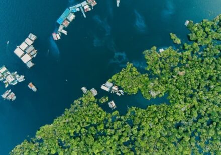 Petrobras Clears Key Hurdle for Amazon Drilling
