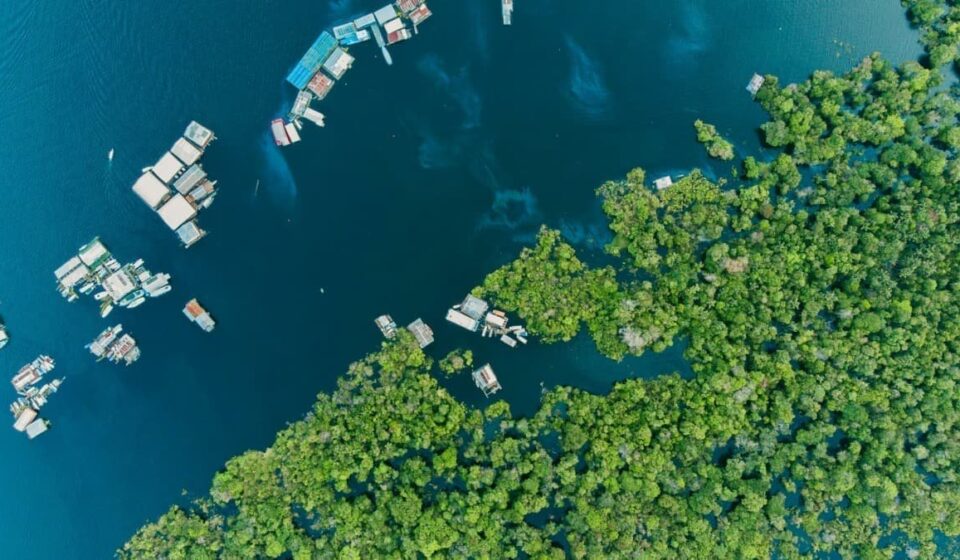 Petrobras Clears Key Hurdle for Amazon Drilling