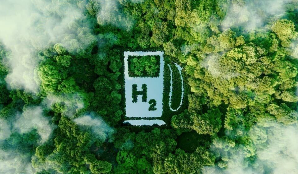 IEA Slashes Clean Hydrogen Production Forecast