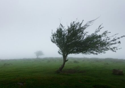 Autumn Winds Crucial for European Clean Energy Targets