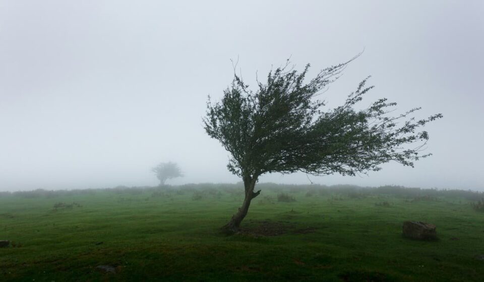 Autumn Winds Crucial for European Clean Energy Targets