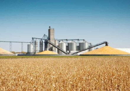 Refinery States Seek to Bar Trump from Shifting Biofuel Mandates