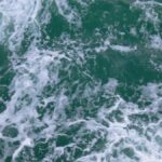 Jellyfish Force another French Nuclear Reactor to Shut Down