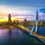 Shell Abandons Rotterdam Biofuels Project
