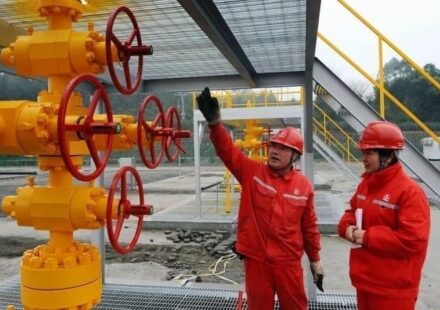 Sinopec’s Earnings Plunge amid Low Oil Prices, Weaker Fuel Demand