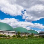 UK Rejects Bioethanol Industry Bailout