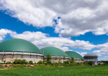 UK Rejects Bioethanol Industry Bailout
