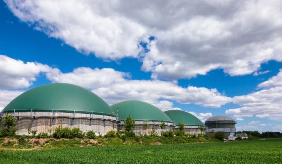 UK Rejects Bioethanol Industry Bailout