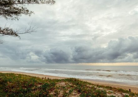 Petrobras Inches Closer to Amazon Oil Exploration License
