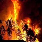 Wildfires Cripple Alberta’s Oil Production