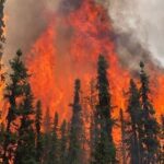 Wildfires Shut Down 350,000 Bpd of Alberta Oil Output