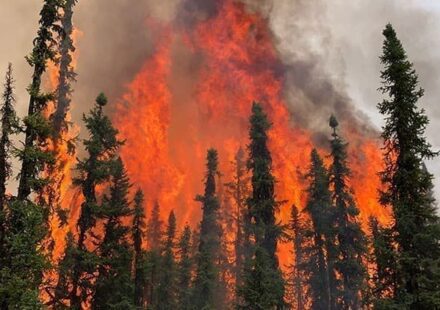 Wildfires Shut Down 350,000 Bpd of Alberta Oil Output