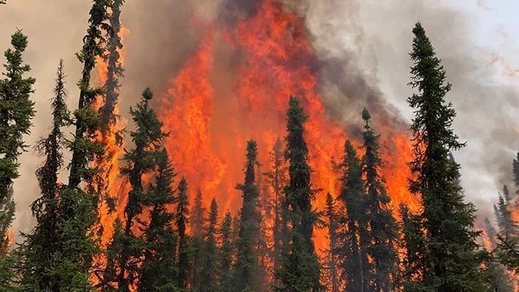 Wildfires Shut Down 350,000 Bpd of Alberta Oil Output