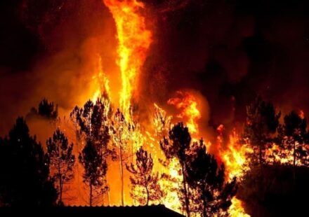 Wildfire Season Begins in Alberta With First Evacuation