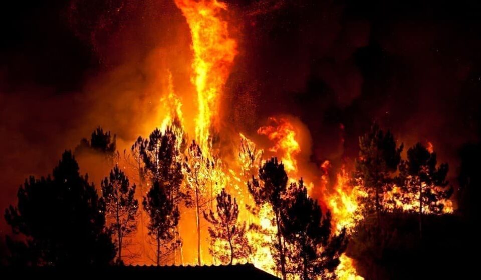 Wildfire Season Begins in Alberta With First Evacuation