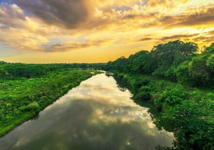 Petrobras Plans To Start Drilling in the Amazon in Weeks