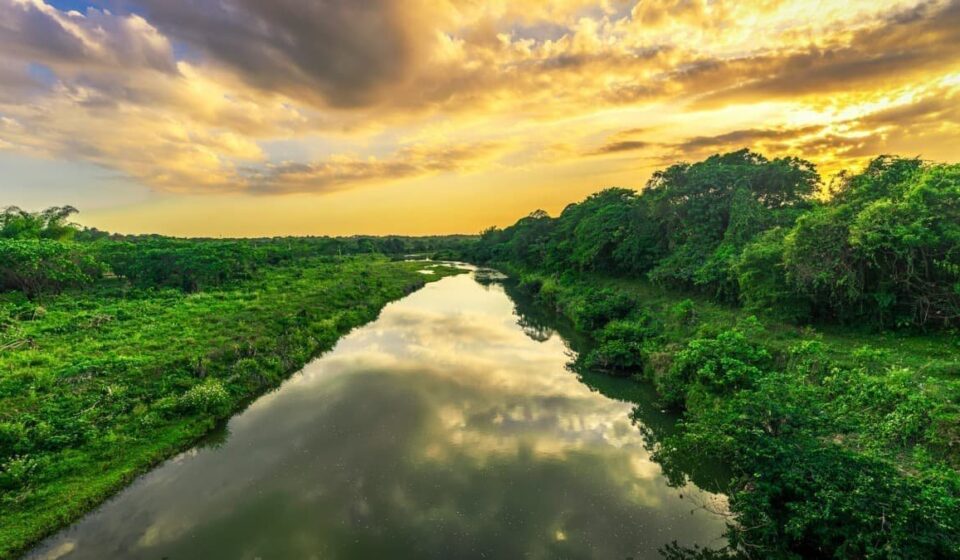 Petrobras Plans To Start Drilling in the Amazon in Weeks