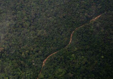 Guyana Soldiers Attacked by Venezuela Amid Oil Territory Dispute