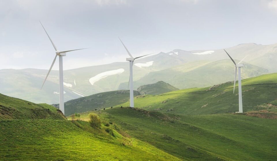 Trump Officials Push IEA to Drop Energy Transition Agenda