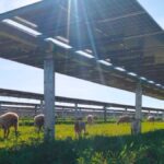 DOGE Hands US DOE The Budget Axe To Slash $10B in Clean Projects