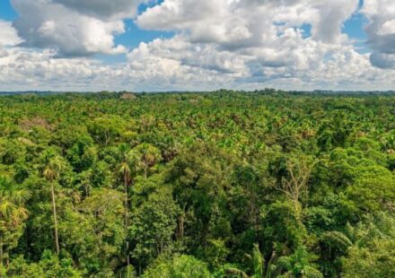 Ecuador’s NOC Declares Force Majeure After Pipeline Leak