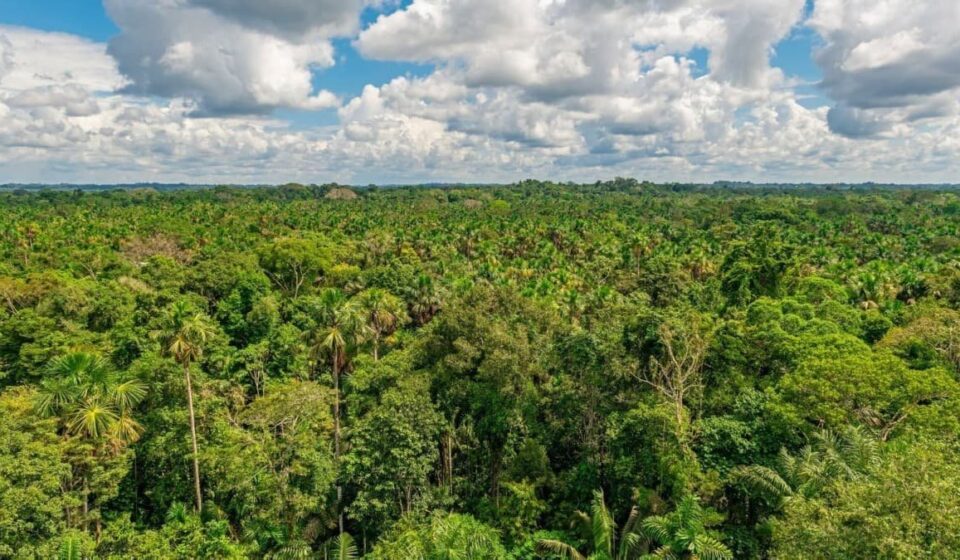 Ecuador’s NOC Declares Force Majeure After Pipeline Leak
