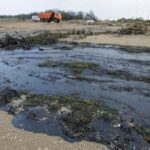 Officials Declare Emergency As Oil Spill Reaches Crimea
