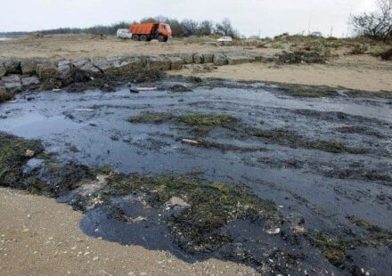 Officials Declare Emergency As Oil Spill Reaches Crimea