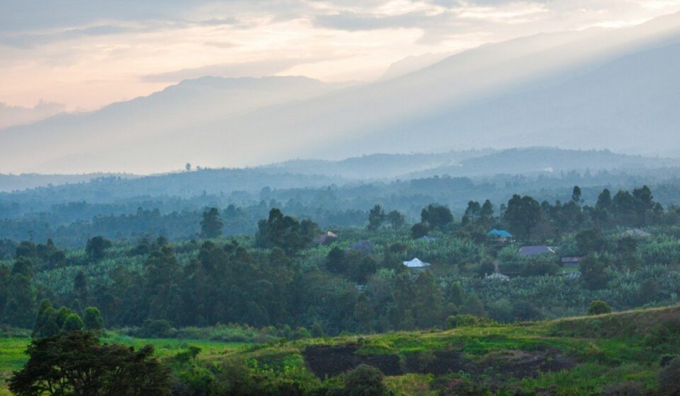Ugandan Farmers Sue to Block $5 Billion East Africa Oil Pipeline